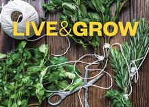 Live, Grow, Issue 44