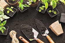 tools & gloves, making gardening safe