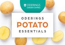 Seed, Potatoes, Potato essentials
