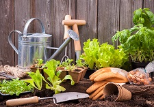 tools & gloves, making gardening safe