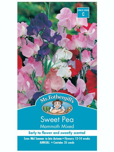 Mr Fothergills Sweet Pea Mammoth Mixed