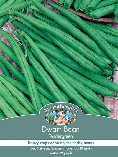 Mr Fothergills Dwarf Bean Tendergreen Seeds