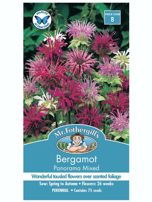 Mr Fothergills Bergamot Panorama