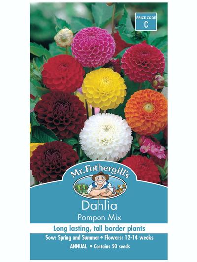 Mr Fothergills Dahlia Pompon