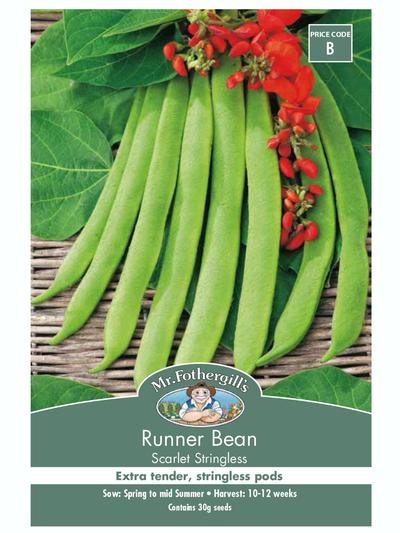 Mr Fothergills Runner Bean Scarlet Stringless