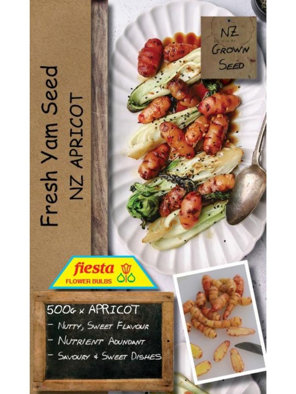 Fiesta Yam Seed - Apricot