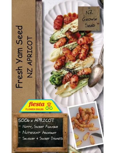 Fiesta Yam Seed - Apricot