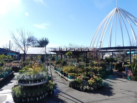 Oderings Barrington in Christchurch, massive range of Landscape products