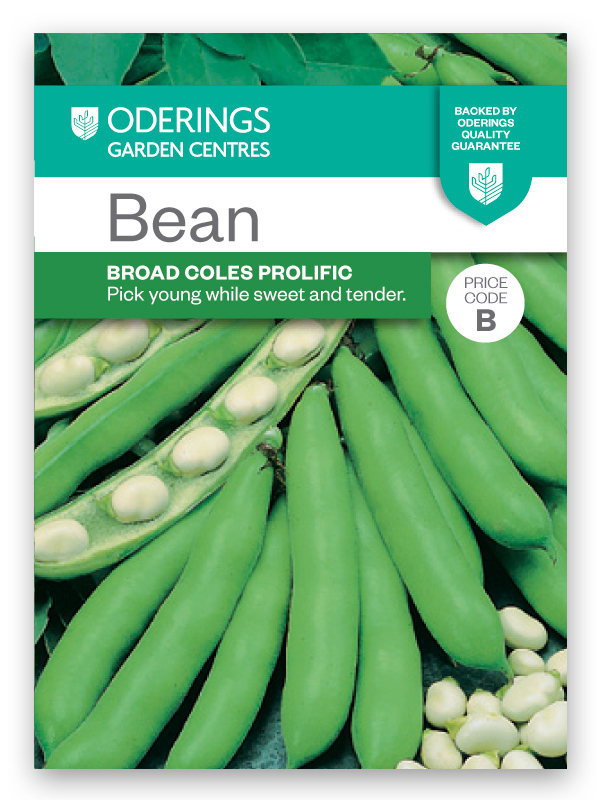 Vegetable Seeds Bean Broad Coles Prolific