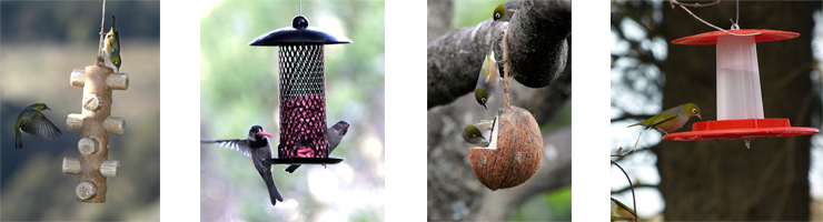 Bird Feeders