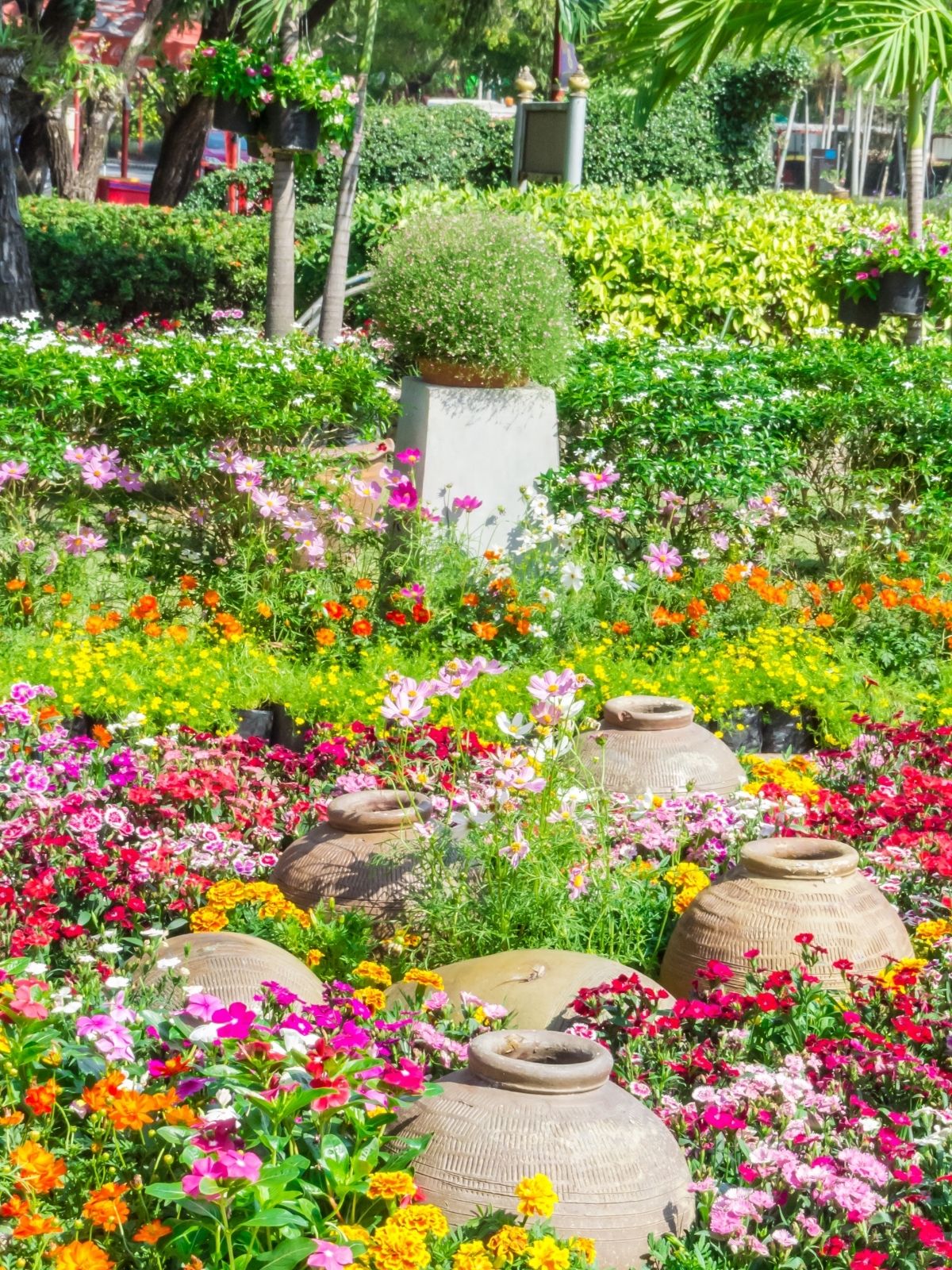 Cottage Garden