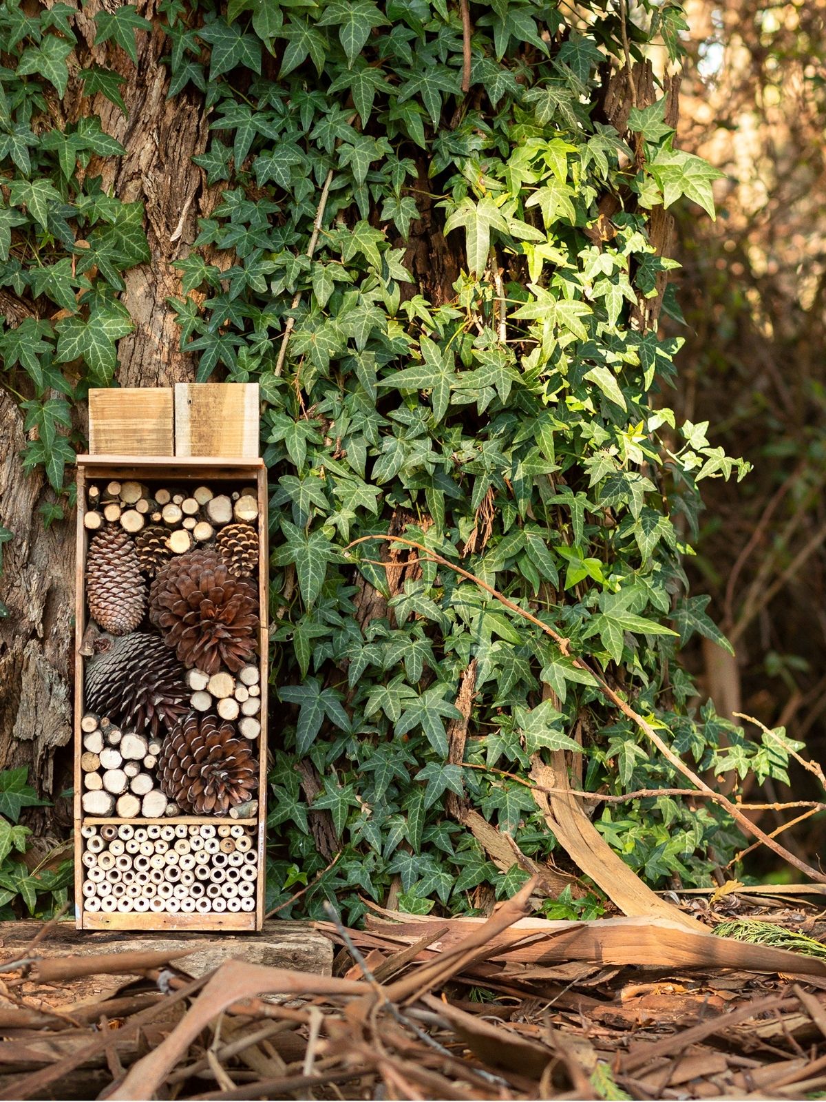 DIY Bee & Bug Hotel