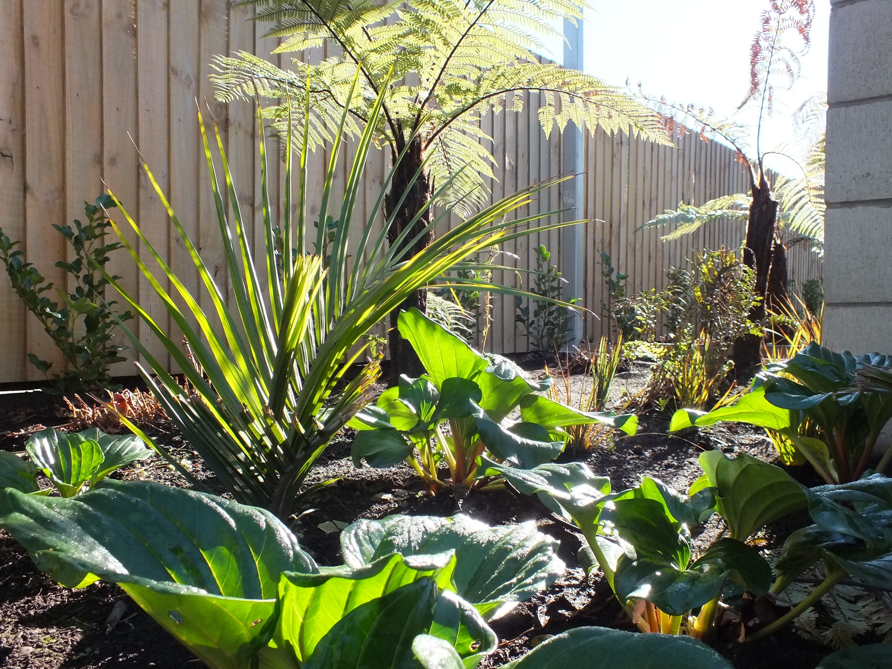 oderings, Landscaping, christchurch