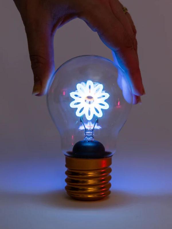 Stellar Daisy Lightbulb Lamp USB Recharge