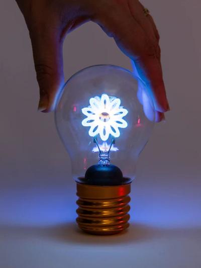 Stellar Daisy Lightbulb Lamp USB Recharge