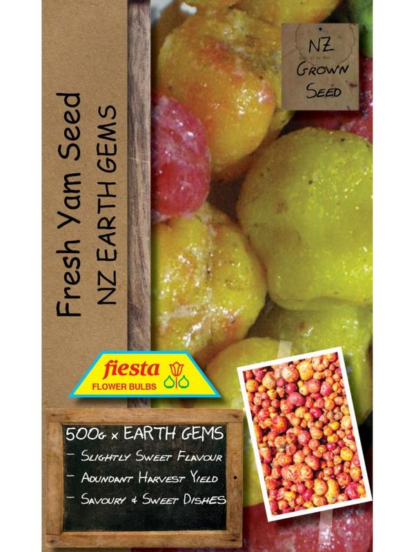 Fiesta Ulluco - Earth Gems 500gm