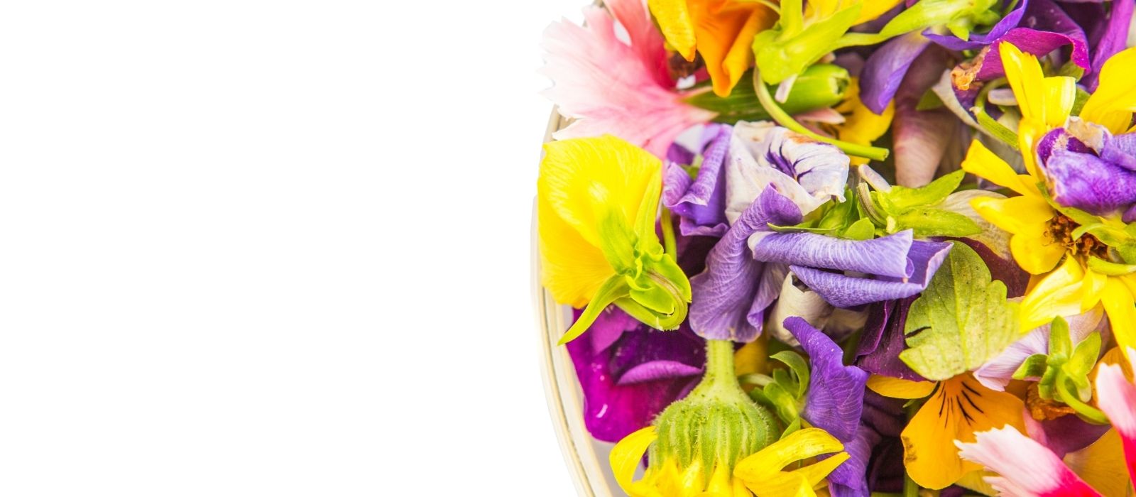 Banner Image Banner Image