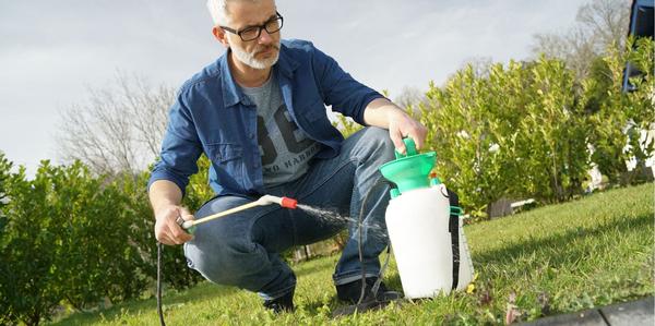 garden maintenance, Weeds