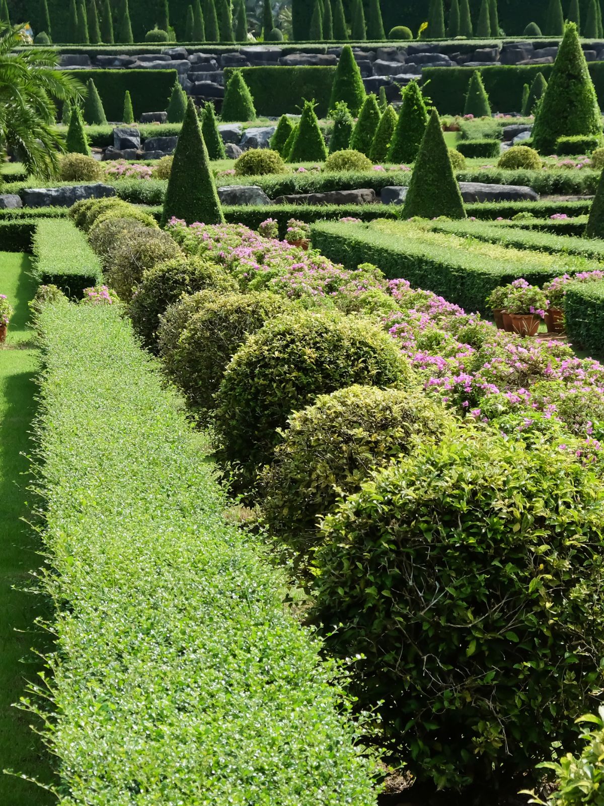 Creating a Formal Garden
