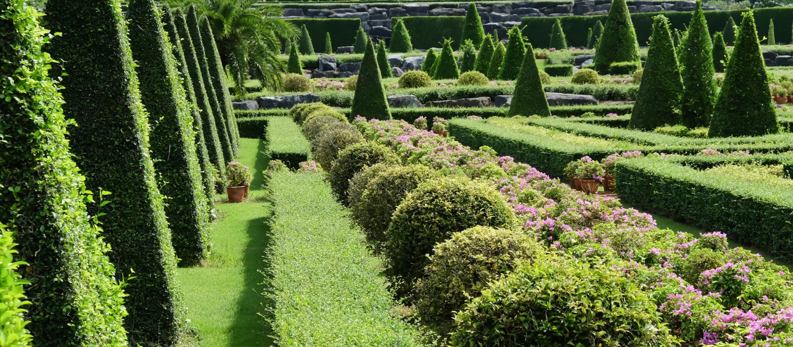 Creating a Formal Garden Creating a Formal Garden
