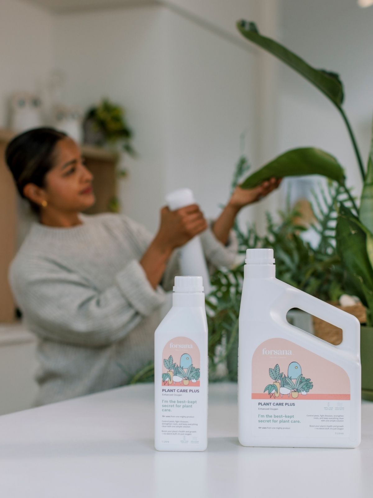 Houseplant - Fixing Root Rot