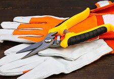 tools & gloves, Pruning Accessories