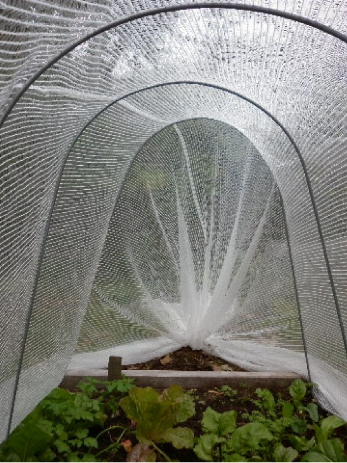 Frost Protection