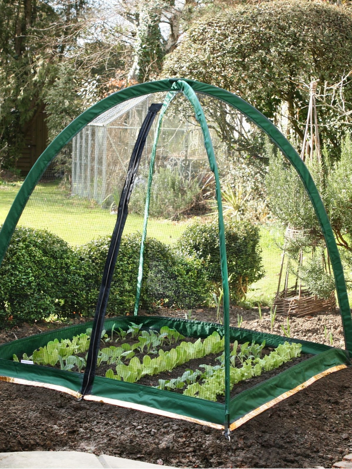 Protect Your Garden with Popadome