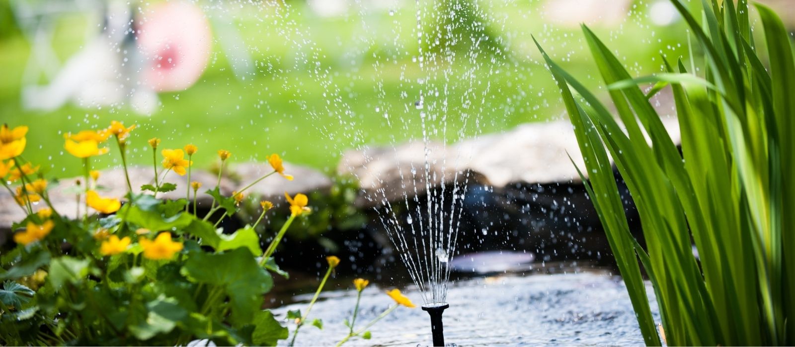 Growing Water Gardens Growing Water Gardens