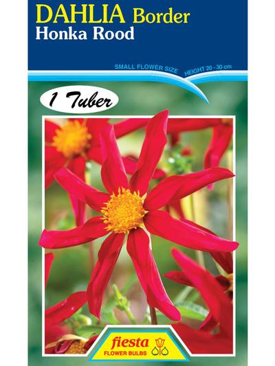 Dahlia Honka Rood Dahlia Honka Rood