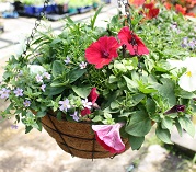 Hanging, baskets