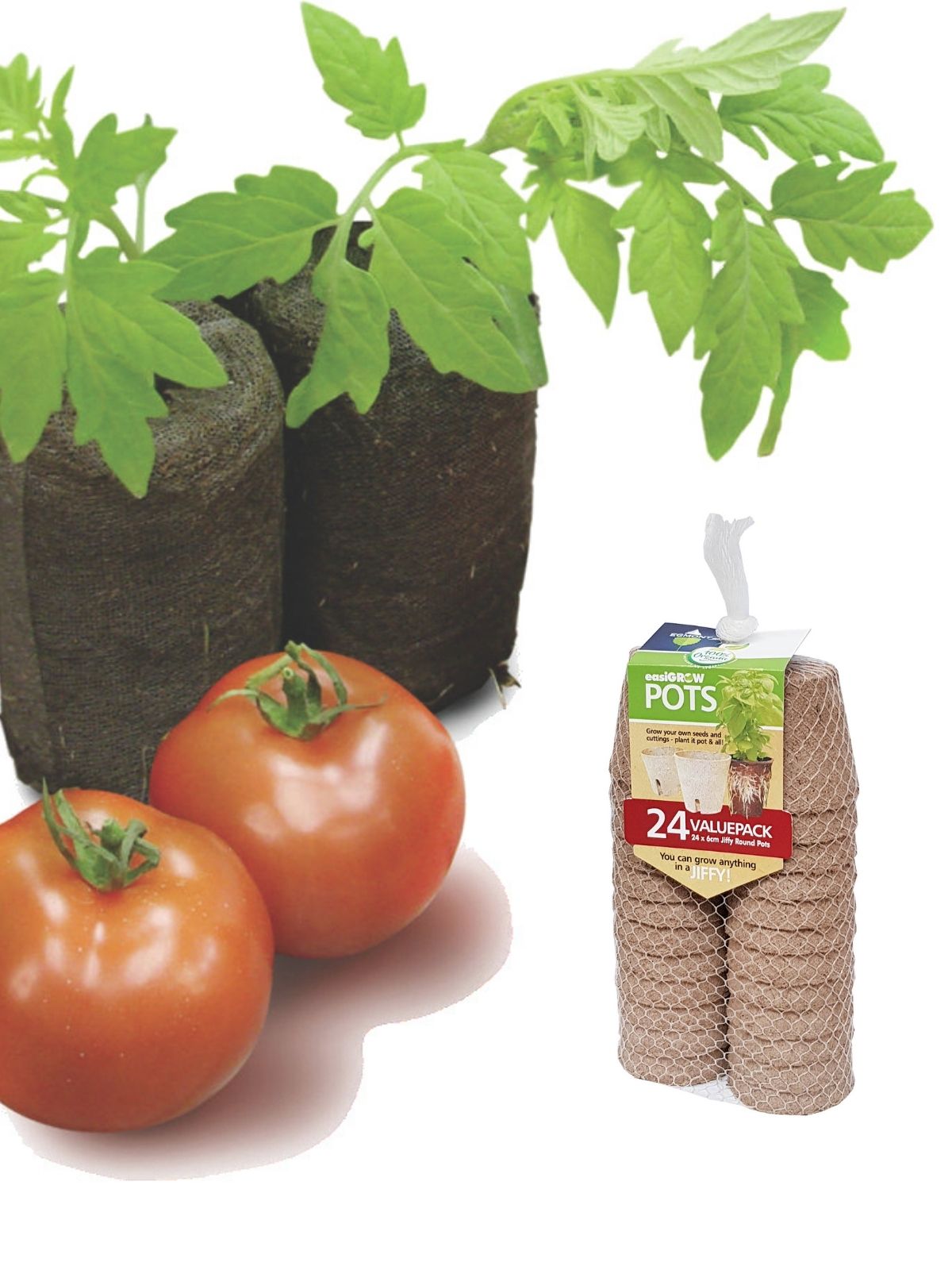 Seed Sowing