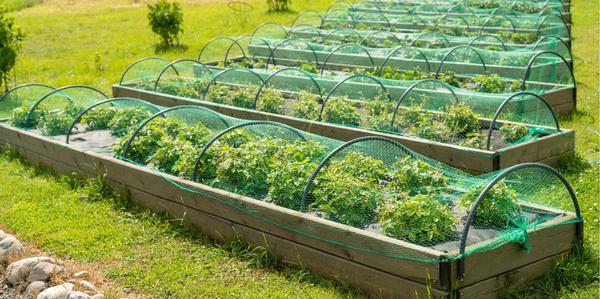 By The Metre, frost cloth, shade cloth, polythene, weedmat