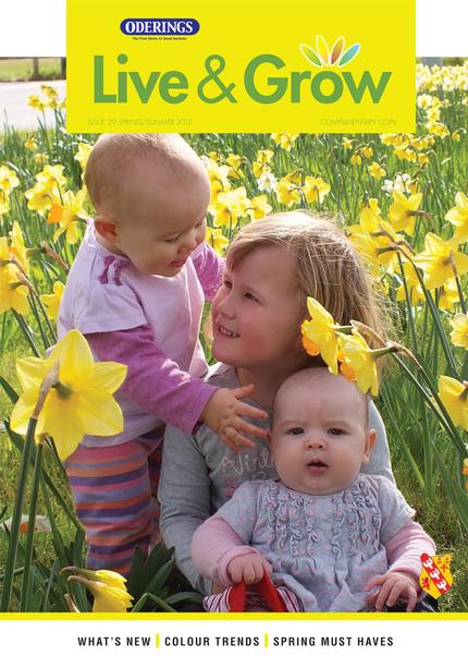 Live and Grow Magazine, Oderings Nursery, Fantastic ideas and Tips for your garden