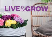 Live, Grow, Issue 46