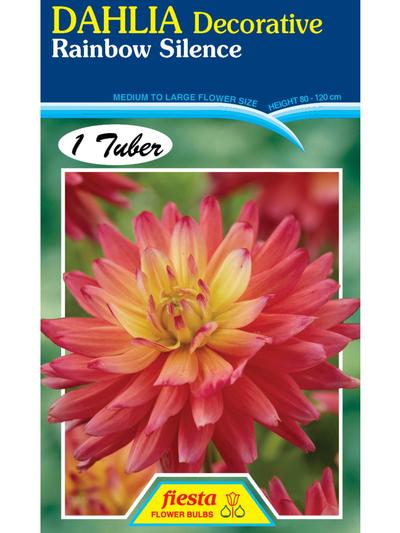Dahlia Rainbow Silence