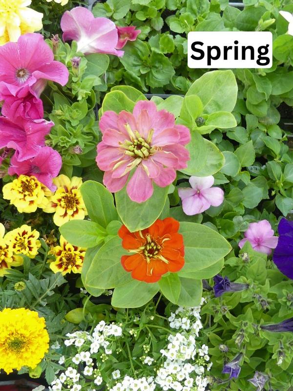Seasonal Colour Bundle