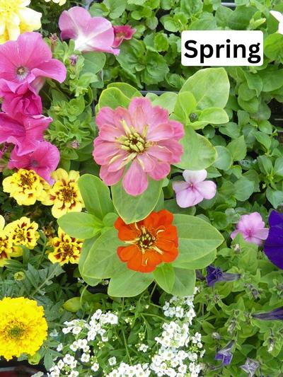 Seasonal Colour Bundle