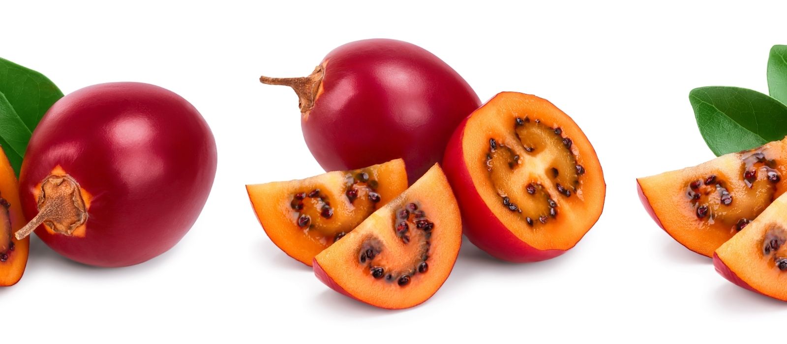 Tamarillo: Tree Tomato Tamarillo: Tree Tomato