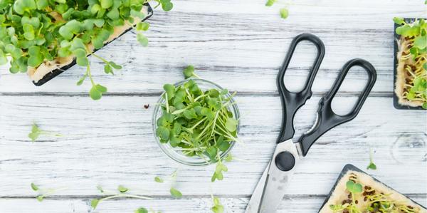 tools & gloves, Scissors