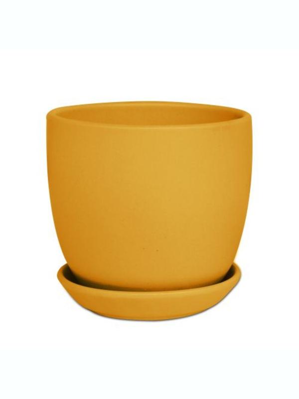 Classic Tulip Pot Sunset