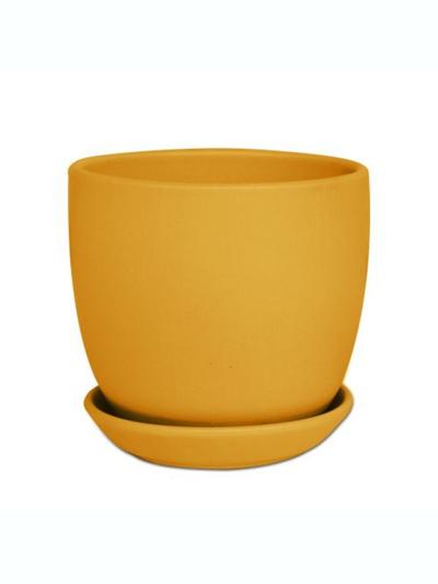 Classic Tulip Pot Sunset