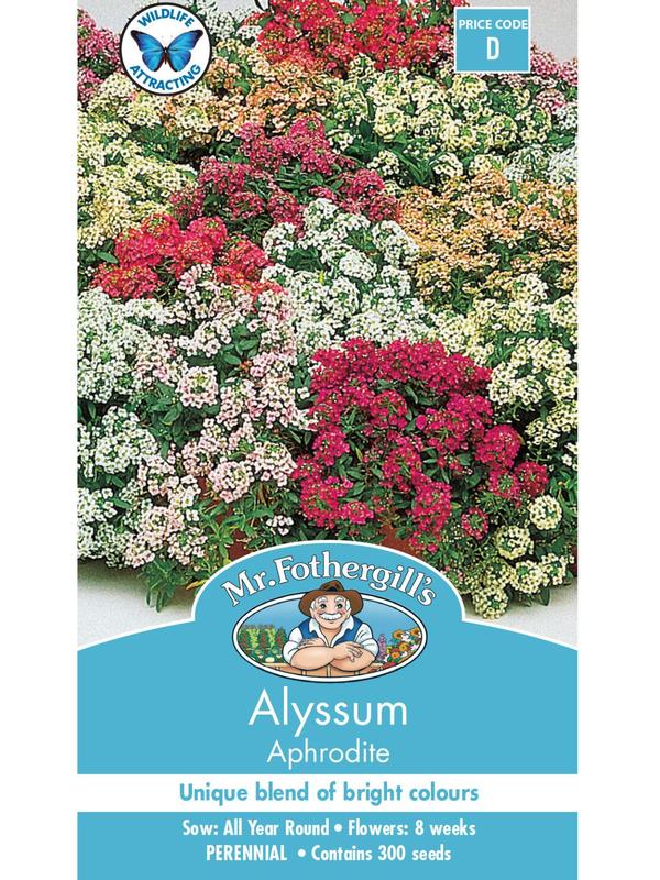Mr Fothergills Alyssum Aphrodite Mixed Seeds