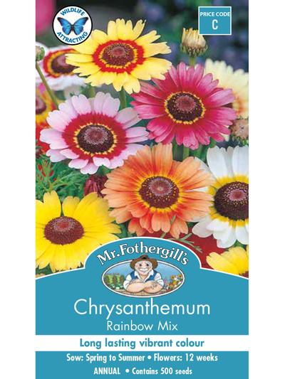Mr Fothergills Chrysanthemum Rainbow Mix Seeds