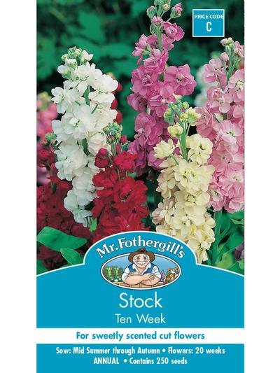 Mr Fothergills Stock Ten Week Mixed Seeds