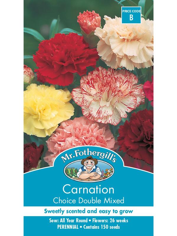 Mr Fothergills Carnation Choice Double Mixed Seeds