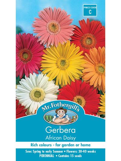 Mr Fothergills Gerbera African Daisy Seeds