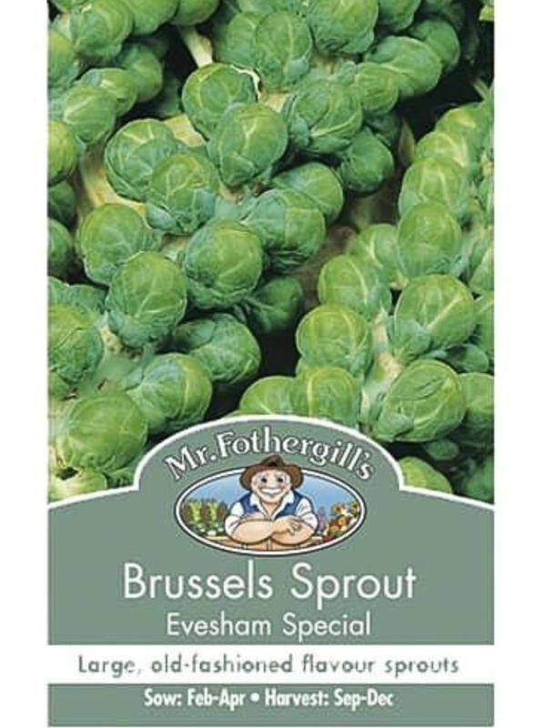 Mr Fothergills Brussels Sprouts Evesham Special Seeds