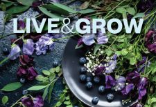 Live & Grow Issue 51