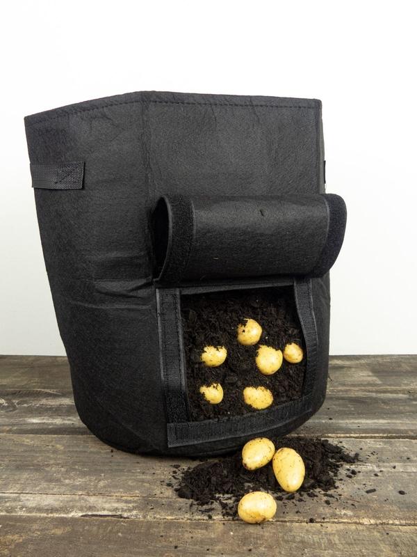 Potato Felt Grow Bag 